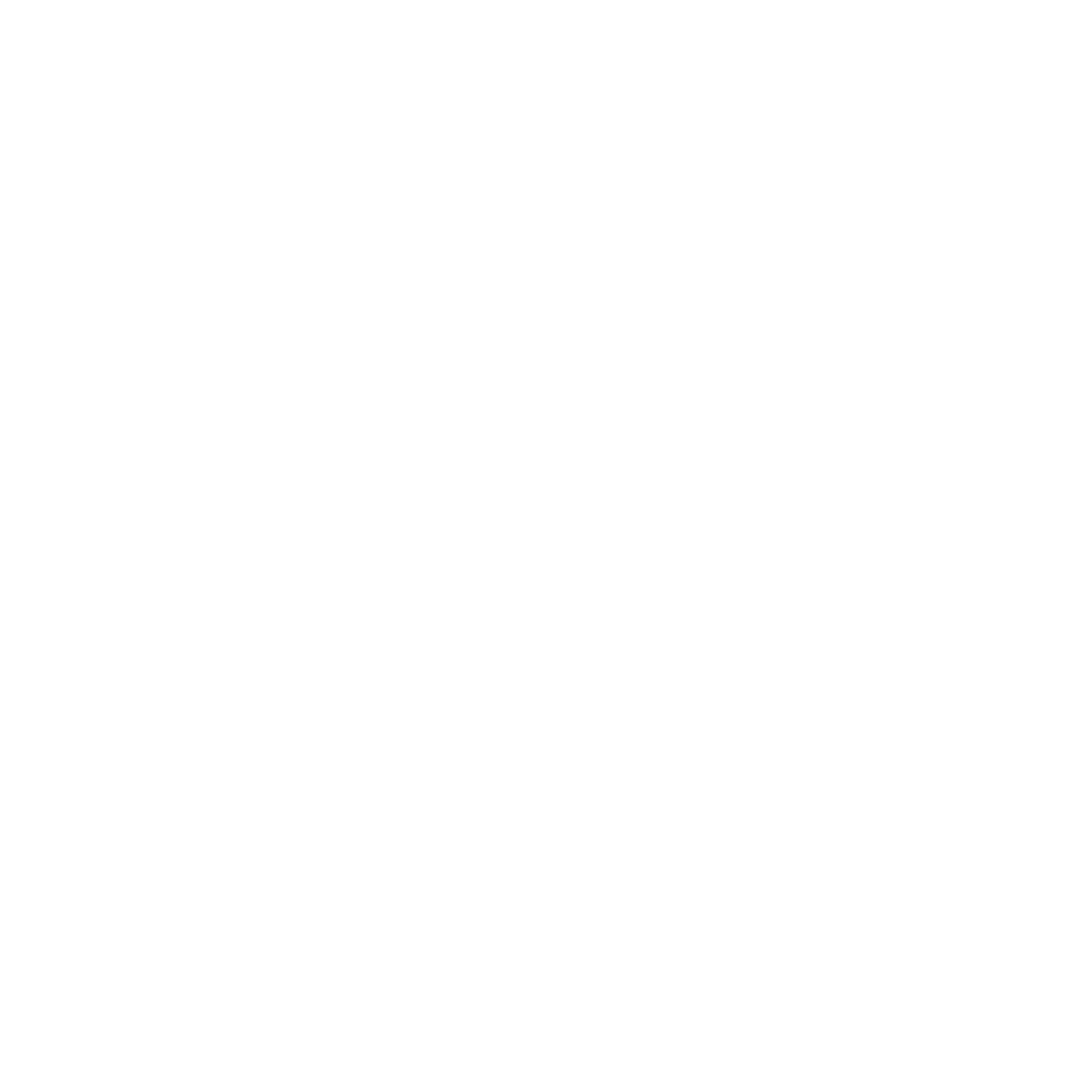XBOSS White Logo